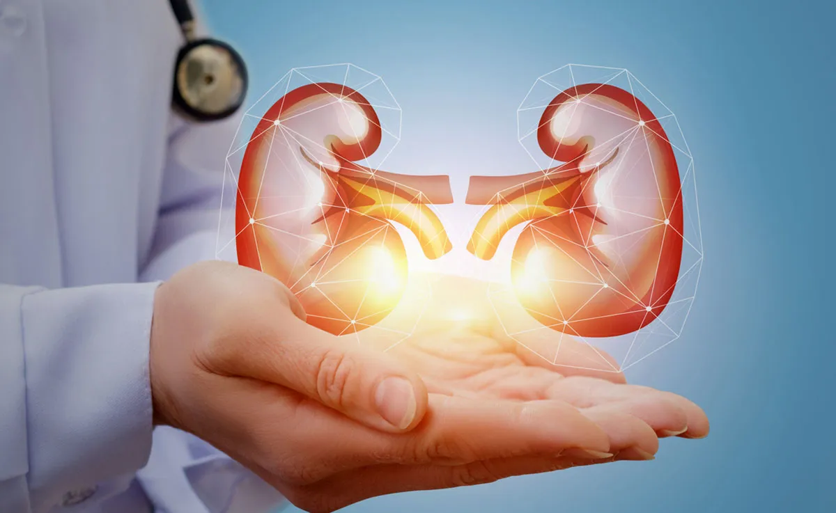 Kidney Health