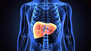Liver Health